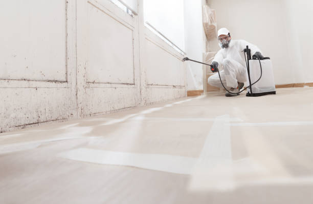 24/7 Emergency Mold Removal experts in Springfield, CO